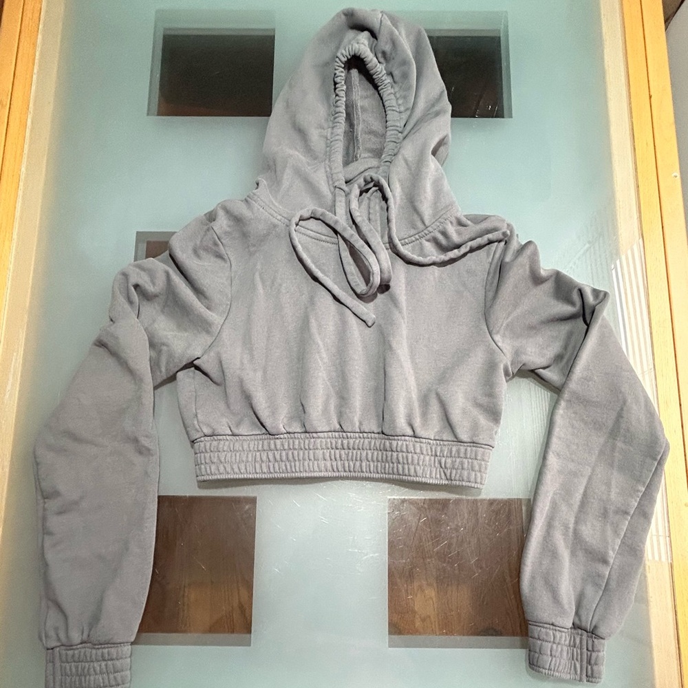 Fashionova Gray Cropped Hooded Sweatshirt M